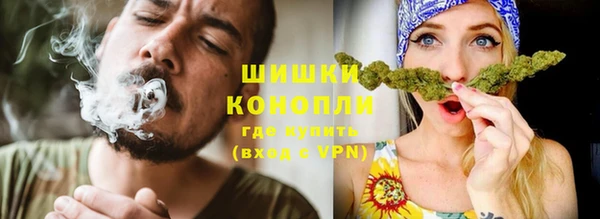 гашик Новозыбков