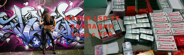 ПСИЛОЦИБИНОВЫЕ ГРИБЫ Навашино