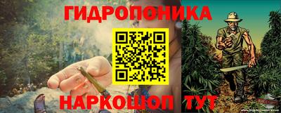 ешки Гудермес