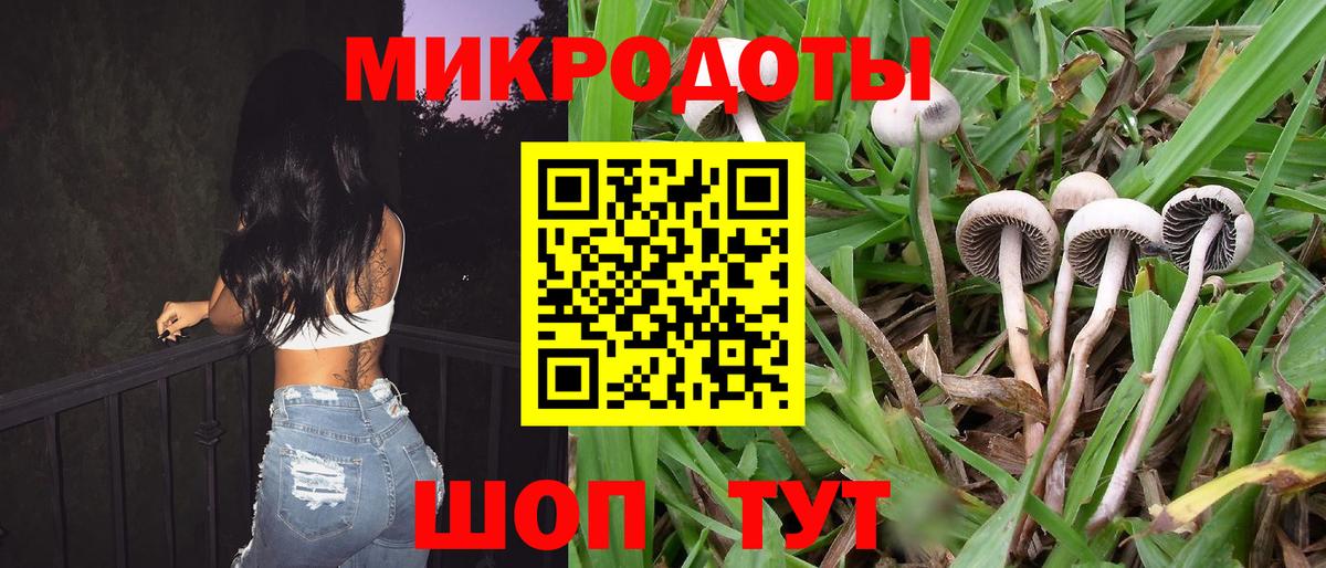 купить наркотики сайты  Вход с VPN  Галлюциногенные грибы Magic Shrooms  Тюмень  Галлюциногенные грибы Cubensis 